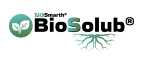 Logo BioSolub